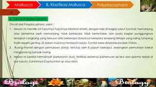 13
Mollusca B. Klasifikasi Mollusca
13
A. Ciri-ciri Polyplacophora
Polyplacophora
Ciri-ciri dari Polyplacophora, yakni :
1. Hewan ini memiliki ciri tubuhnya Tubuhnya bilateral simetri, dengan kaki di bagian perut (ventral) memanjang
atau berbentuk pipih memanjang, tidak berkepala, tidak bertentakel, dan pada bagian punggungnya
terdapat cangkang yang tersusun atas beberapa (biasanya belapan) lempeng terlapis yang saling tumpang
tindih seperti genting. Di dalam mulutnya terdapat radula. Contoh kelas Amphineura ialah Chiton.
2. Ruang mantel dengan permukaan dorsal, tertutup oleh 8 papan berkapur, sedangkan permukaan lateral
mengandung banyak insang
3. Hewan ini bersifat hermafrodit (berkelamin dua), fertilisasi eksternal (pertemuan sel teur dan sperma terjadi di
luar tubuh). Contohnya Cryptochiton sp atau kiton.
 
