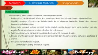 18
Mollusca B. Klasifikasi Mollusca
18
A. Ciri-ciri Scaphopoda
Scaphopoda
Tubuh ramping, memanjang dorsoventral, diselubungi oleh mantel.
1. Panjang tubuhnya biasanya 2,5-5 cm. Ada yang hanya 4 mm, tapi ada pula yang panjangnya 25 cm.
Memiliki cangkang. Cangkangnya terbuka pada kedua ujungnya, berbentuk silinder, dan biasanya
berwarna putih/kekuningan.
2. Dekat mulut terdapat tentakel kontraktif bersilia disebut captula dengan ujung yang menjulur, yaitu alat
peraba. Fungsinya untuk menangkap mikroflora dan mikrofauna.
3. Kaki muncul dari ujung cangkang yang besar, berfungsi untuk menggali di pasir.
4. Sirkulasi air untuk pernafasan digerakkan oleh gerakan kaki dan silia, sementara itu pertukaran gas terjadi di
mantel.
5. Hewan ini memiliki Kelamin terpisah.
Contoh : Siput gading (Dentalium vulgare)
 