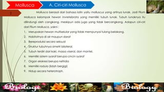 2
Mollusca A. Ciri-ciri Mollusca
Mollusca berasal dari bahasa latin yaitu molluscus yang artinya lunak. Jadi Filum
Mollusca kelompok hewan invretebrata yang memiliki tubuh lunak. Tubuh lunaknya itu
dilindungi oleh cangkang, meskipun ada juga yang tidak bercangkang. Adapun ciri-ciri
dari Filum Mollusca, yakni :
1. Merupakan hewan multiselular yang tidak mempunyai tulang belakang.
2. Habitatnya di air maupun darat
3. Bereproduksi secara seksual
4. Struktur tubuhnya simetri bilateral.
5. Tubuh terdiri dari kaki, massa viseral, dan mantel.
6. Memiliki sistem syaraf berupa cincin syaraf
7. Organ ekskresi berupa nefridia
8. Memiliki radula (lidah bergigi)
9. Hidup secara heterotroph.
 