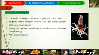 23
Mollusca B. Klasifikasi Mollusca
23
A. Ciri-ciri Cephalopoda
Cephalopoda
1. Kaki terdapat dikepala, tidak bercangkok (kecuali nautilus)
2. Bergerak lambat dengan tentakel, sirip, dan cepat dengan
cara menyemprotkan air
3. Warna kulit berubah sesuail lingkungan (karena zat kromator
pada kulitnya)
4. Alat kelamin terpisah
 