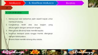 29
Mollusca B. Klasifikasi Mollusca
29
A. Ciri-ciri Bivalvia
Bivalvia
1. Mempunyai kaki berbentuk pipih seperti kapak untuk
membuat lubang.
2. Cangkoknya terdiri atas dua bagian yang
dihubungkan dengan semacam engsel.
3. Pelecypoda (Bivalvia) tidak memiliki kepala.
4. Mulutnya terdapat pada rongga mantel, dilengkapi
dengan labial palpus.
5. Bivalvia tidak memiliki rahang atau radula.
 