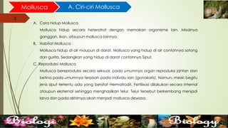 3
Mollusca A. Ciri-ciri Mollusca
A. Cara hidup Mollusca
Mollusca hidup secara heterotrof dengan memakan organisme lain. Misalnya
ganggan, ikan, ataupun mollusca lainnya.
B. Habitat Mollusca
Mollusca hidup di air maupun di darat. Mollusca yang hidup di air contohnya sotong
dan gurita. Sedangkan yang hidup di darat contohnya Siput.
C. Reproduksi Mollusca
Mollusca bereproduksi secara seksual. pada umumnya organ reproduksi jantan dan
betina pada umumnya terpisah pada individu lain (gonokoris). Namun, meski begitu
jenis siput tertentu ada yang bersifat Hermafrodit. Fertilisasi dilakukan secara internal
ataupun eksternal sehingga menghasilkan telur. Telur tersebut berkembang menjadi
larva dan pada akhirnya akan menjadi mollusca dewasa.
 