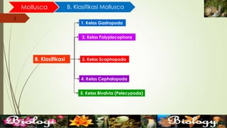 5
Mollusca B. Klasifikasi Mollusca
5
B. Klasifikasi
1. Kelas Gastropoda
2. Kelas Polyplacophora
5. Kelas Bivalvia (Pelecypoda)
3. Kelas Scaphopoda
4. Kelas Cephalopoda
 