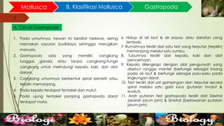 7
Mollusca B. Klasifikasi Mollusca
7
A. Ciri-ciri Gastropoda
1. Pada umumnya, hewan ini bersifat herbivor, sering
memakan sayuran budidaya sehingga merugikan
manusia.
2. Gastropoda ada yang memiliki cangkang
tunggal, ganda, atau tanpa cangkang.Fungsi
cangkang untuk melindungi kepala, kaki, dan alat
dalam.
3. Cangkang umumnya berbentuk spiral asimetri atau
terpilin memanjang.
4. Pada kepala terdapat tentakel dan mulut.
5. Pada ujung tentakel panjang gastropoda darat
terdapat mata.
Gastropoda
6. Hidup di air laut & air payau atau daratan yang
lembab.
7. Rumahnya terdiri dari satu test yang terputar (terpilin)
memanjang melalui satu sumbu.
8. Tubuhnya terdiri dari kepala, kaki dan alat
pencernaan.
9. Kepala dilengkapi dengan alat pengunyah yang
disebut rongga mantel (berfungsi sebagai insang
pada air laut & berfungsi sebagai paru-paru pada
lingkungan darat.
10. Test terdiri dari zat gampingan dan terputar secara
spiral melalui satu garis lurus (putaran involut &
evolut).
11. Arah putaran test gastropoda terdiri dari Dextral
(searah jarum jam) & Sinistral (berlawanan putaran
jarum jam).
 