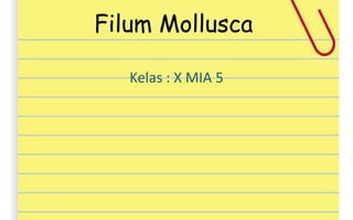 Filum Mollusca
Kelas : X MIA 5
 