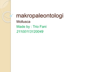 makropaleontologi 
Mollusca 
Made by : Trio Fani 
21100113120049 
 