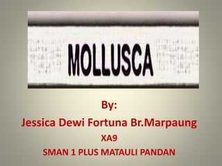 By:
Jessica Dewi Fortuna Br.Marpaung
XA9
SMAN 1 PLUS MATAULI PANDAN
 