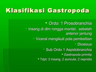 Klasifikasi GastropodaKlasifikasi Gastropoda
 Ordo: 1 ProsobranchiaOrdo: 1 Prosobranchia
 Insang di dlm rongga mantel, sebelahInsang di dlm rongga mantel, sebelah
anterior jantunganterior jantung
 Viceral mengikuti pola pembelitanViceral mengikuti pola pembelitan
 DiosiousDiosious
 Sub Ordo 1 AspidobranchiaSub Ordo 1 Aspidobranchia
 Gastropoda primitipGastropoda primitip
 Tdpt: 2 insang, 2 auricula, 2 nepridiaTdpt: 2 insang, 2 auricula, 2 nepridia
 