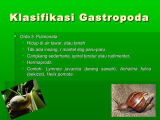 Klasifikasi GastropodaKlasifikasi Gastropoda
 Ordo 3. PulmonataOrdo 3. Pulmonata
 Hidup di air tawar, atau tanahHidup di air tawar, atau tanah
 Tdk ada insang, r mantel sbg paru-paruTdk ada insang, r mantel sbg paru-paru
 Cangkang sederhana, spiral teratur atau rudimenter,Cangkang sederhana, spiral teratur atau rudimenter,
 HermaproditHermaprodit
 Contoh:Contoh: Lymnea javanicaLymnea javanica (keong sawah),(keong sawah), Achatina fulicaAchatina fulica
(bekicot),(bekicot), Helix pomataHelix pomata
 