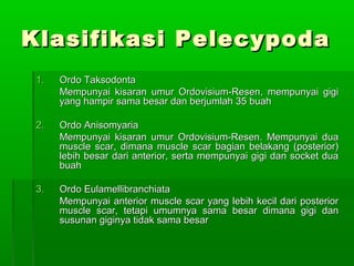 Klasifikasi PelecypodaKlasifikasi Pelecypoda
1.1. Ordo TaksodontaOrdo Taksodonta
Mempunyai kisaran umur Ordovisium-Resen, mempunyai gigiMempunyai kisaran umur Ordovisium-Resen, mempunyai gigi
yang hampir sama besar dan berjumlah 35 buahyang hampir sama besar dan berjumlah 35 buah
2.2. Ordo AnisomyariaOrdo Anisomyaria
Mempunyai kisaran umur Ordovisium-Resen. Mempunyai duaMempunyai kisaran umur Ordovisium-Resen. Mempunyai dua
muscle scar, dimana muscle scar bagian belakang (posterior)muscle scar, dimana muscle scar bagian belakang (posterior)
lebih besar dari anterior, serta mempunyai gigi dan socket dualebih besar dari anterior, serta mempunyai gigi dan socket dua
buahbuah
3.3. Ordo EulamellibranchiataOrdo Eulamellibranchiata
Mempunyai anterior muscle scar yang lebih kecil dari posteriorMempunyai anterior muscle scar yang lebih kecil dari posterior
muscle scar, tetapi umumnya sama besar dimana gigi danmuscle scar, tetapi umumnya sama besar dimana gigi dan
susunan giginya tidak sama besarsusunan giginya tidak sama besar
 