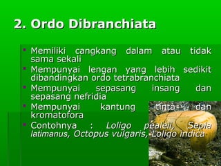 2. Ordo Dibranchiata2. Ordo Dibranchiata
 Memiliki cangkang dalam atau tidakMemiliki cangkang dalam atau tidak
sama sekalisama sekali
 Mempunyai lengan yang lebih sedikitMempunyai lengan yang lebih sedikit
dibandingkan ordo tetrabranchiatadibandingkan ordo tetrabranchiata
 Mempunyai sepasang insang danMempunyai sepasang insang dan
sepasang nefridiasepasang nefridia
 Mempunyai kantung tinta danMempunyai kantung tinta dan
kromatoforakromatofora
 Contohnya :Contohnya : Loligo pealeii, SepiaLoligo pealeii, Sepia
latimanuslatimanus, Octopus vulgaris, Loligo indica, Octopus vulgaris, Loligo indica
 