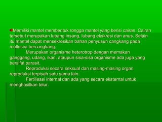 Memiliki mantel membentuk rongga mantel yang berisi cairan. CairanMemiliki mantel membentuk rongga mantel yang berisi cairan. Cairan
tersebut merupakan lubang insang, lubang ekskresi dan anus. Selaintersebut merupakan lubang insang, lubang ekskresi dan anus. Selain
itu mantel dapat mensekresikan bahan penyusun cangkang padaitu mantel dapat mensekresikan bahan penyusun cangkang pada
mollusca bercangkang.mollusca bercangkang.
Merupakan organisme heterotrop dengan memakanMerupakan organisme heterotrop dengan memakan
ganggang, udang, ikan, ataupun sisa-sisa organisme ada juga yangganggang, udang, ikan, ataupun sisa-sisa organisme ada juga yang
bersifat parasit.bersifat parasit.
Reproduksi secara seksual dan masing-masing organReproduksi secara seksual dan masing-masing organ
reproduksi terpisah satu sama lain.reproduksi terpisah satu sama lain.
Fertilisasi internal dan ada yang secara eksternal untukFertilisasi internal dan ada yang secara eksternal untuk
menghasilkan telur.menghasilkan telur.
 