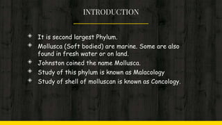 INTRODUCTION
◈ It is second largest Phylum.
◈ Mollusca (Soft bodied) are marine. Some are also
found in fresh water or on land.
◈ Johnston coined the name Mollusca.
◈ Study of this phylum is known as Malacology
◈ Study of shell of molluscan is known as Concology.
 