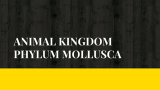 ANIMAL KINGDOM
PHYLUM MOLLUSCA
 