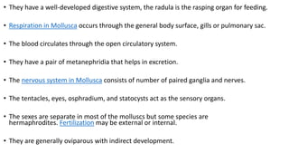 • They have a well-developed digestive system, the radula is the rasping organ for feeding.
• Respiration in Mollusca occurs through the general body surface, gills or pulmonary sac.
• The blood circulates through the open circulatory system.
• They have a pair of metanephridia that helps in excretion.
• The nervous system in Mollusca consists of number of paired ganglia and nerves.
• The tentacles, eyes, osphradium, and statocysts act as the sensory organs.
• The sexes are separate in most of the molluscs but some species are
hermaphrodites. Fertilization may be external or internal.
• They are generally oviparous with indirect development.
 