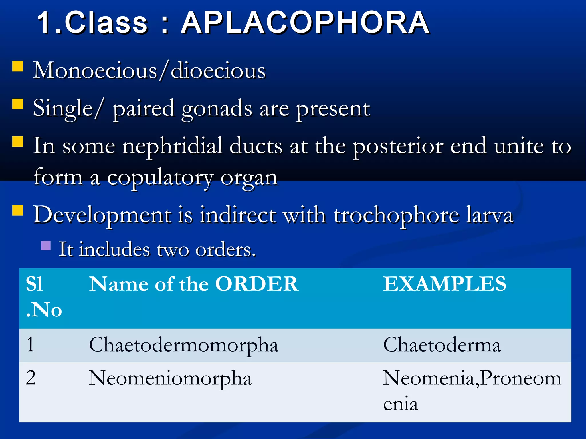 1.Class : APLACOPHORA1.Class : APLACOPHORA
 Monoecious/dioeciousMonoecious/dioecious
 Single/ paired gonads are presentSingle/ paired gonads are present
 In some nephridial ducts at the posterior end unite toIn some nephridial ducts at the posterior end unite to
form a copulatory organform a copulatory organ
 Development is indirect with trochophore larvaDevelopment is indirect with trochophore larva
 It includes two orders.It includes two orders.
Sl
.No
Name of the ORDER EXAMPLES
1 Chaetodermomorpha Chaetoderma
2 Neomeniomorpha Neomenia,Proneom
enia
 