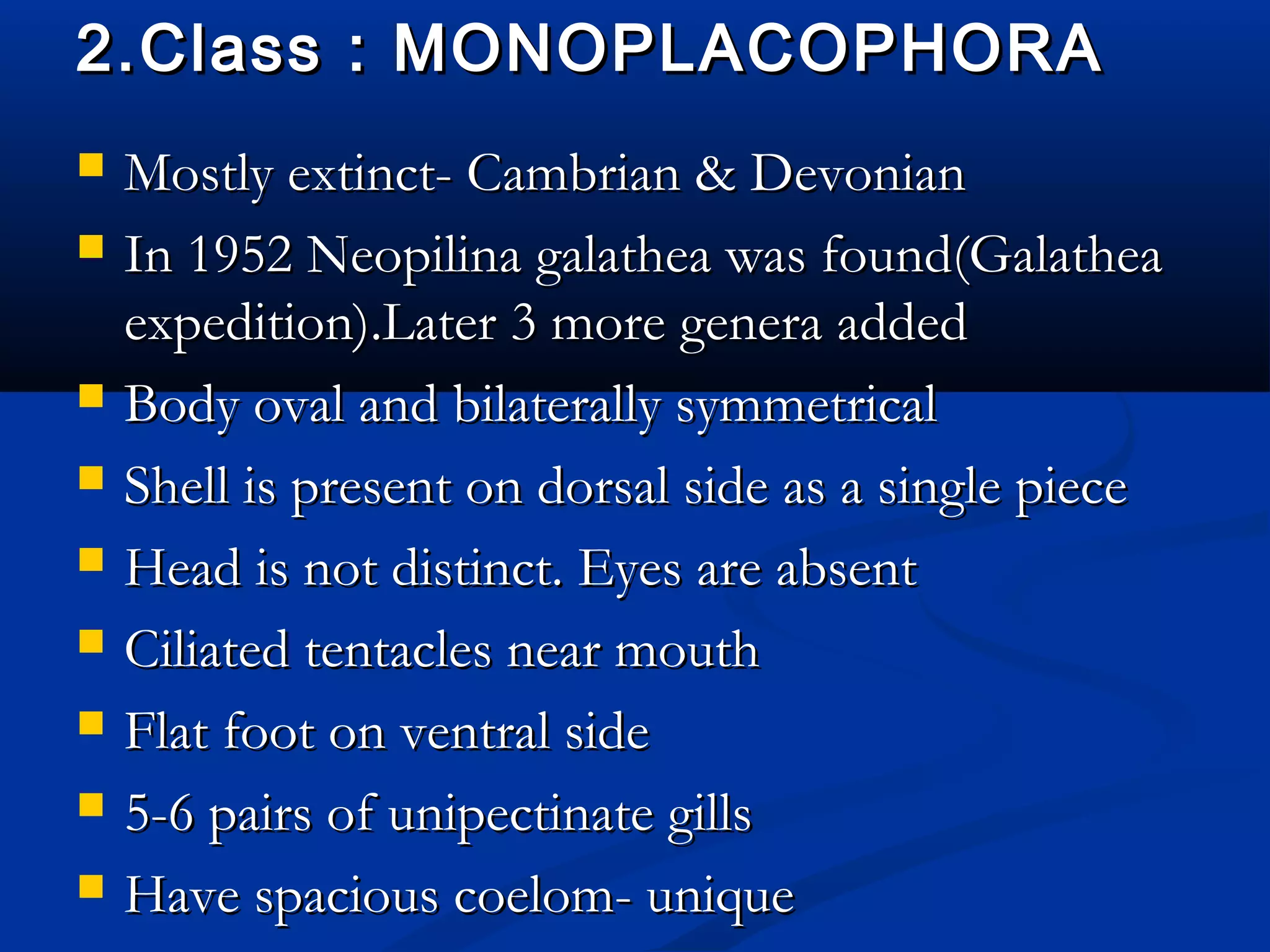 2.Class : MONOPLACOPHORA2.Class : MONOPLACOPHORA
 Mostly extinct- Cambrian & DevonianMostly extinct- Cambrian & Devonian
 In 1952 Neopilina galathea was found(GalatheaIn 1952 Neopilina galathea was found(Galathea
expedition).Later 3 more genera addedexpedition).Later 3 more genera added
 Body oval and bilaterally symmetricalBody oval and bilaterally symmetrical
 Shell is present on dorsal side as a single pieceShell is present on dorsal side as a single piece
 Head is not distinct. Eyes are absentHead is not distinct. Eyes are absent
 Ciliated tentacles near mouthCiliated tentacles near mouth
 Flat foot on ventral sideFlat foot on ventral side
 5-6 pairs of unipectinate gills5-6 pairs of unipectinate gills
 Have spacious coelom- uniqueHave spacious coelom- unique
 