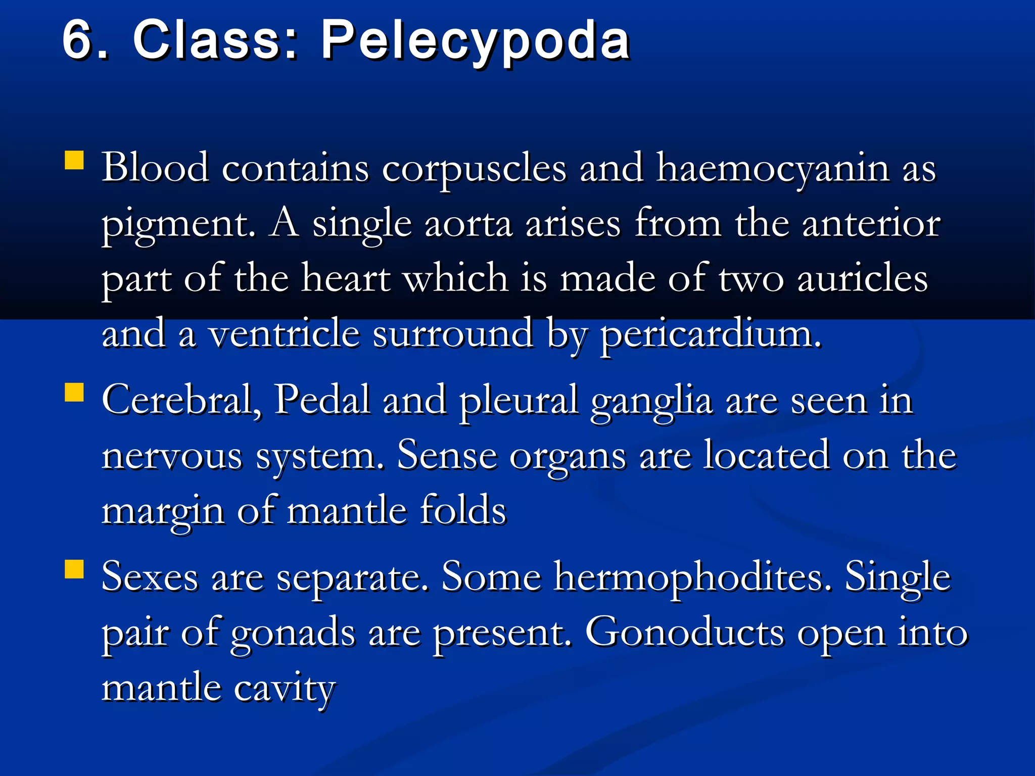 6. Class: Pelecypoda6. Class: Pelecypoda
 Blood contains corpuscles and haemocyanin asBlood contains corpuscles and haemocyanin as
pigment. A single aorta arises from the anteriorpigment. A single aorta arises from the anterior
part of the heart which is made of two auriclespart of the heart which is made of two auricles
and a ventricle surround by pericardium.and a ventricle surround by pericardium.
 Cerebral, Pedal and pleural ganglia are seen inCerebral, Pedal and pleural ganglia are seen in
nervous system. Sense organs are located on thenervous system. Sense organs are located on the
margin of mantle foldsmargin of mantle folds
 Sexes are separate. Some hermophodites. SingleSexes are separate. Some hermophodites. Single
pair of gonads are present. Gonoducts open intopair of gonads are present. Gonoducts open into
mantle cavitymantle cavity
 