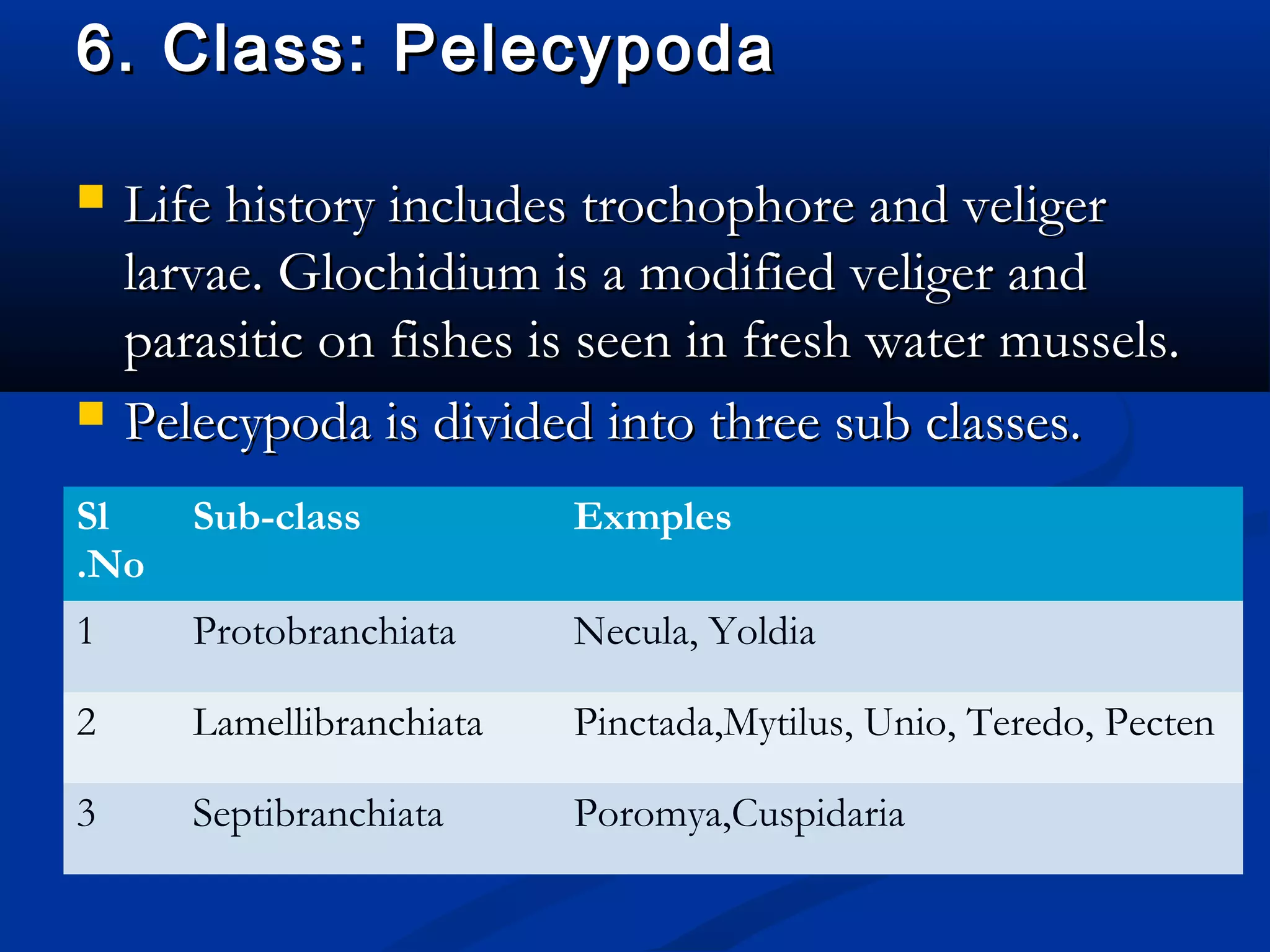 6. Class: Pelecypoda6. Class: Pelecypoda
 Life history includes trochophore and veligerLife history includes trochophore and veliger
larvae. Glochidium is a modified veliger andlarvae. Glochidium is a modified veliger and
parasitic on fishes is seen in fresh water mussels.parasitic on fishes is seen in fresh water mussels.
 Pelecypoda is divided into three sub classes.Pelecypoda is divided into three sub classes.
Sl
.No
Sub-class Exmples
1 Protobranchiata Necula, Yoldia
2 Lamellibranchiata Pinctada,Mytilus, Unio, Teredo, Pecten
3 Septibranchiata Poromya,Cuspidaria
 
