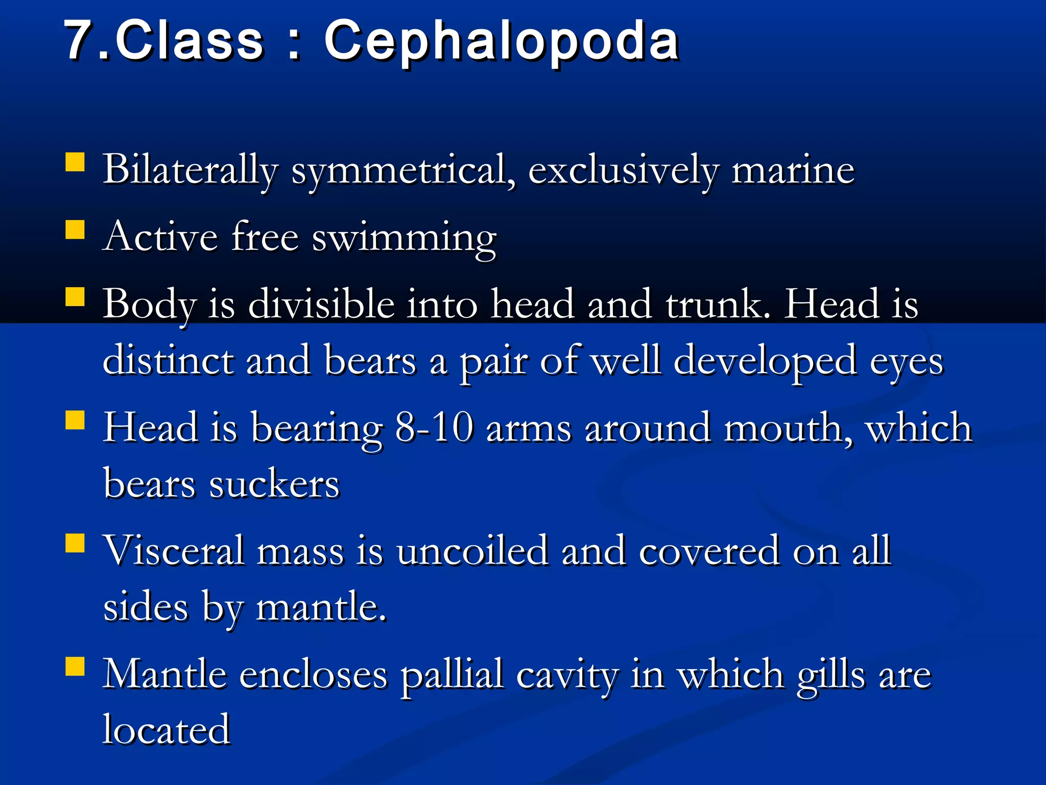 7.Class : Cephalopoda7.Class : Cephalopoda
 Bilaterally symmetrical, exclusively marineBilaterally symmetrical, exclusively marine
 Active free swimmingActive free swimming
 Body is divisible into head and trunk. Head isBody is divisible into head and trunk. Head is
distinct and bears a pair of well developed eyesdistinct and bears a pair of well developed eyes
 Head is bearing 8-10 arms around mouth, whichHead is bearing 8-10 arms around mouth, which
bears suckersbears suckers
 Visceral mass is uncoiled and covered on allVisceral mass is uncoiled and covered on all
sides by mantle.sides by mantle.
 Mantle encloses pallial cavity in which gills areMantle encloses pallial cavity in which gills are
locatedlocated
 