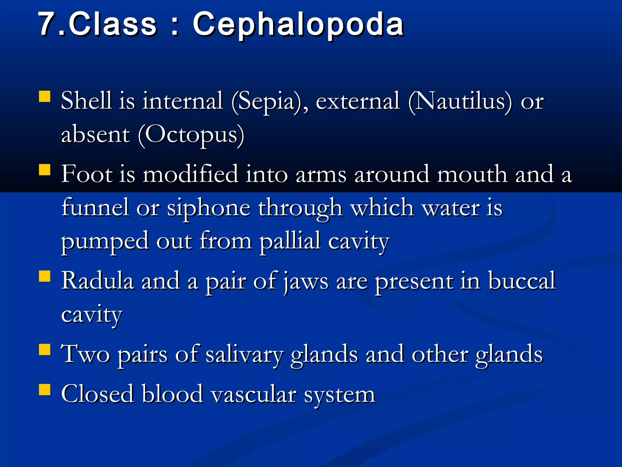 7.Class : Cephalopoda7.Class : Cephalopoda
 Shell is internal (Sepia), external (Nautilus) orShell is internal (Sepia), external (Nautilus) or
absent (Octopus)absent (Octopus)
 Foot is modified into arms around mouth and aFoot is modified into arms around mouth and a
funnel or siphone through which water isfunnel or siphone through which water is
pumped out from pallial cavitypumped out from pallial cavity
 Radula and a pair of jaws are present in buccalRadula and a pair of jaws are present in buccal
cavitycavity
 Two pairs of salivary glands and other glandsTwo pairs of salivary glands and other glands
 Closed blood vascular systemClosed blood vascular system
 