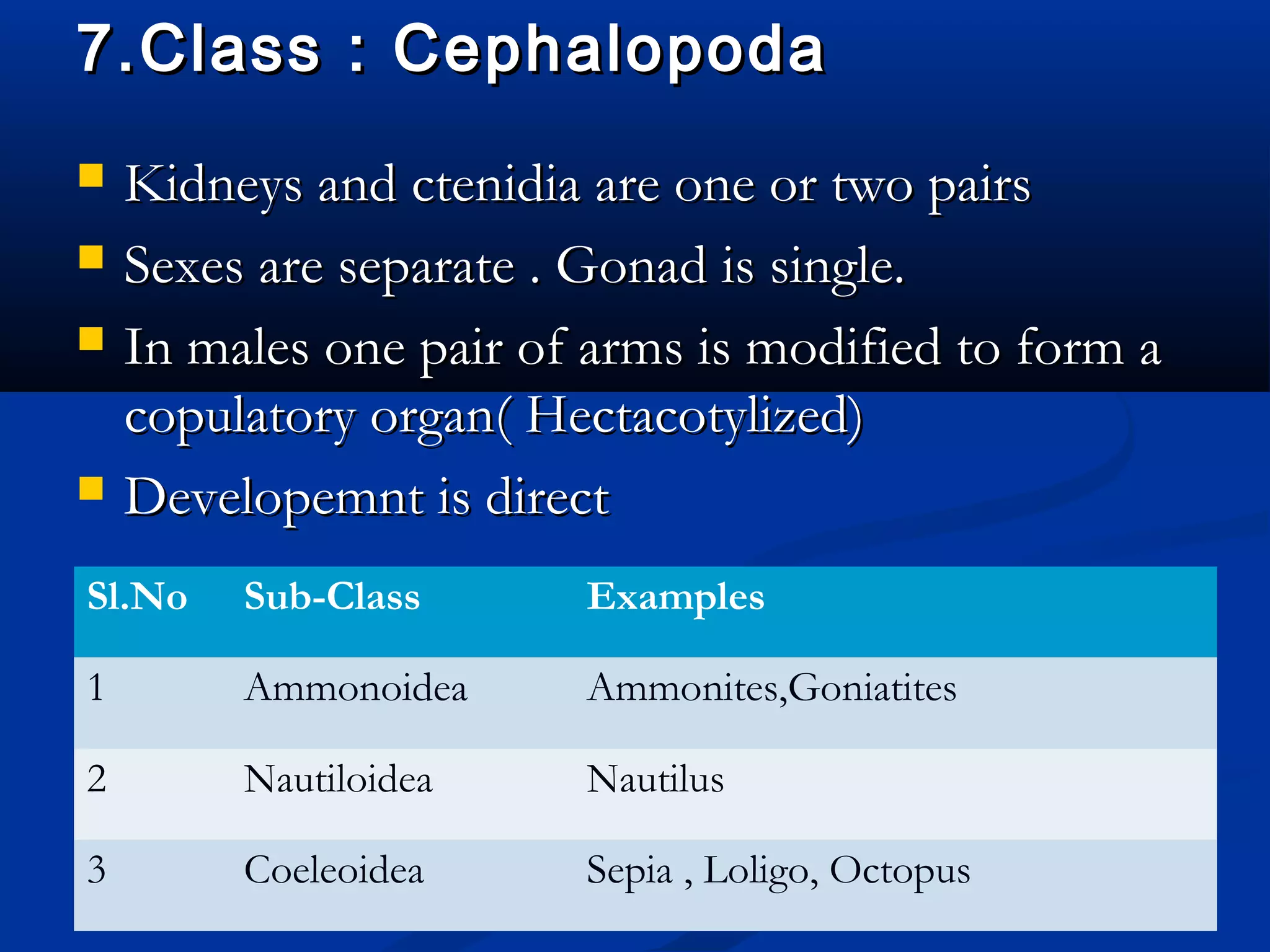 7.Class : Cephalopoda7.Class : Cephalopoda
 Kidneys and ctenidia are one or two pairsKidneys and ctenidia are one or two pairs
 Sexes are separate . Gonad is single.Sexes are separate . Gonad is single.
 In males one pair of arms is modified to form aIn males one pair of arms is modified to form a
copulatory organ( Hectacotylized)copulatory organ( Hectacotylized)
 Developemnt is directDevelopemnt is direct
Sl.No Sub-Class Examples
1 Ammonoidea Ammonites,Goniatites
2 Nautiloidea Nautilus
3 Coeleoidea Sepia , Loligo, Octopus
 