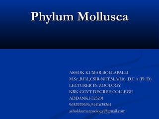 Phylum MolluscaPhylum Mollusca
ASHOK KUMAR BOLLAPALLIASHOK KUMAR BOLLAPALLI
M.Sc.,B.Ed.,CSIR-NET,M.A(Lit) .D.C.A.(Ph.D.)M.Sc.,B.Ed.,CSIR-NET,M.A(Lit) .D.C.A.(Ph.D.)
LECTURER IN ZOOLOGYLECTURER IN ZOOLOGY
KRK GOVT DEGREE COLLEGEKRK GOVT DEGREE COLLEGE
ADDANKI-523201ADDANKI-523201
9652929696,94416352649652929696,9441635264
ashokkumarzoology@gmail.comashokkumarzoology@gmail.com
 