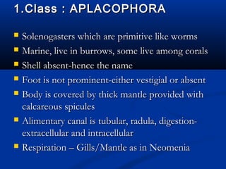1.Class : APLACOPHORA1.Class : APLACOPHORA
 Solenogasters which are primitive like wormsSolenogasters which are primitive like worms
 Marine, live in burrows, some live among coralsMarine, live in burrows, some live among corals
 Shell absent-hence the nameShell absent-hence the name
 Foot is not prominent-either vestigial or absentFoot is not prominent-either vestigial or absent
 Body is covered by thick mantle provided withBody is covered by thick mantle provided with
calcareous spiculescalcareous spicules
 Alimentary canal is tubular, radula, digestion-Alimentary canal is tubular, radula, digestion-
extracellular and intracellularextracellular and intracellular
 Respiration – Gills/Mantle as in NeomeniaRespiration – Gills/Mantle as in Neomenia
 