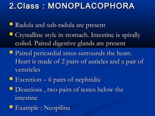 2.Class : MONOPLACOPHORA2.Class : MONOPLACOPHORA
 Radula and sub-radula are presentRadula and sub-radula are present
 Crystalline style in stomach. Intestine is spirallyCrystalline style in stomach. Intestine is spirally
coiled. Paired digestive glands are presentcoiled. Paired digestive glands are present
 Paired pericardial sinus surrounds the heart.Paired pericardial sinus surrounds the heart.
Heart is made of 2 pairs of auricles and a pair ofHeart is made of 2 pairs of auricles and a pair of
ventriclesventricles
 Excretion – 6 pairs of nephridiaExcretion – 6 pairs of nephridia
 Dioecious , two pairs of testes below theDioecious , two pairs of testes below the
intestineintestine
 Example : NeopilinaExample : Neopilina
 