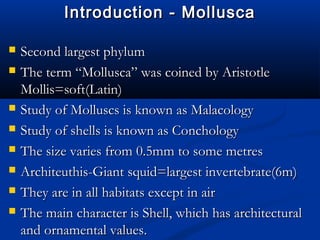 Introduction - MolluscaIntroduction - Mollusca
 Second largest phylumSecond largest phylum
 The term “Mollusca” was coined by AristotleThe term “Mollusca” was coined by Aristotle
Mollis=soft(Latin)Mollis=soft(Latin)
 Study of Molluscs is known as MalacologyStudy of Molluscs is known as Malacology
 Study of shells is known as ConchologyStudy of shells is known as Conchology
 The size varies from 0.5mm to some metresThe size varies from 0.5mm to some metres
 Architeuthis-Giant squid=largest invertebrate(6m)Architeuthis-Giant squid=largest invertebrate(6m)
 They are in all habitats except in airThey are in all habitats except in air
 The main character is Shell, which has architecturalThe main character is Shell, which has architectural
and ornamental values.and ornamental values.
 