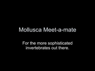 Mollusca Meet-a-mate For the more sophisticated invertebrates out there. 