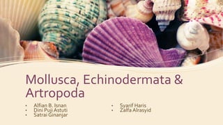Mollusca, Echinodermata &
Artropoda
• Alfian B. Isnan
• Dini Puji Astuti
• Satrai Ginanjar
• Syarif Haris
• Zalfa Alrasyid
 