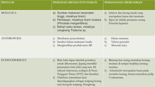 PHYLUM PERANAN MENGUNTUNGKAN PERANANAN MERUGIKAN
MOLLUSCA a) Sumber makanan berprotein
tinggi, misalnya tiram)
b) Perhiasan, misalnya tiram mutiara
(Pinctada margaritifera).
c) Bahan baku teraso, misalnya
cangkang Tridacna sp.
a) bekicot dan keong sawah yang
merupakan hama dari tanaman.
b) Siput air adalah perantara cacing
Fasciola hepatica.
ANTHROPODA a) Membantu penyerbukan
b) Sumber bahan makanan/madu
c) Menghasilkan produk:sutra dlll
a) Hama tanaman
b) Vektor penyakit
c) Merusak kayu
ECHINODERMATA a) Bulu babi dapat diambil gonadnya
untuk dikonsumsi. Jepang memiliki
peternakan bulu babi yang luas. Di
wilayah Indonesia, terdapat di Nusa
Tenggara Timur (NTT) dan Kendari.
b) Holothuria (mentimun laut)
diperdagangkan sebagai teripang kering
atau kerupuk teripang. Hongkong
a) Bintang laut sering memakan kerang
mutiara di tempat budidaya kerang
mutiara.
b) Achanbasther merupakan hama pada
terumbu karang, karena memakan polip
Coelenterata.
 