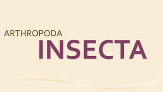 ARTHROPODA
INSECTA
 