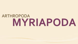 ARTHROPODA
MYRIAPODA
 