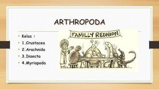 • Kelas :
• 1.Crustacea
• 2.Arachnida
• 3.Insecta
• 4.Myriapoda
 