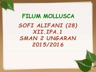 SOFI ALIFANI (28)
XII.IPA.1
SMAN 2 UNGARAN
2015/2016
FILUM MOLLUSCA
 
