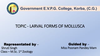 TOPIC - LARVAL FORMS OF MOLLUSCA
Government E.V.P.G. College, Korba, (C.G.)
Representated by –
Shruti Singh
Class – M.Sc. 1st Zoology
Guided by –
Miss Poonam Pandey Mam
 