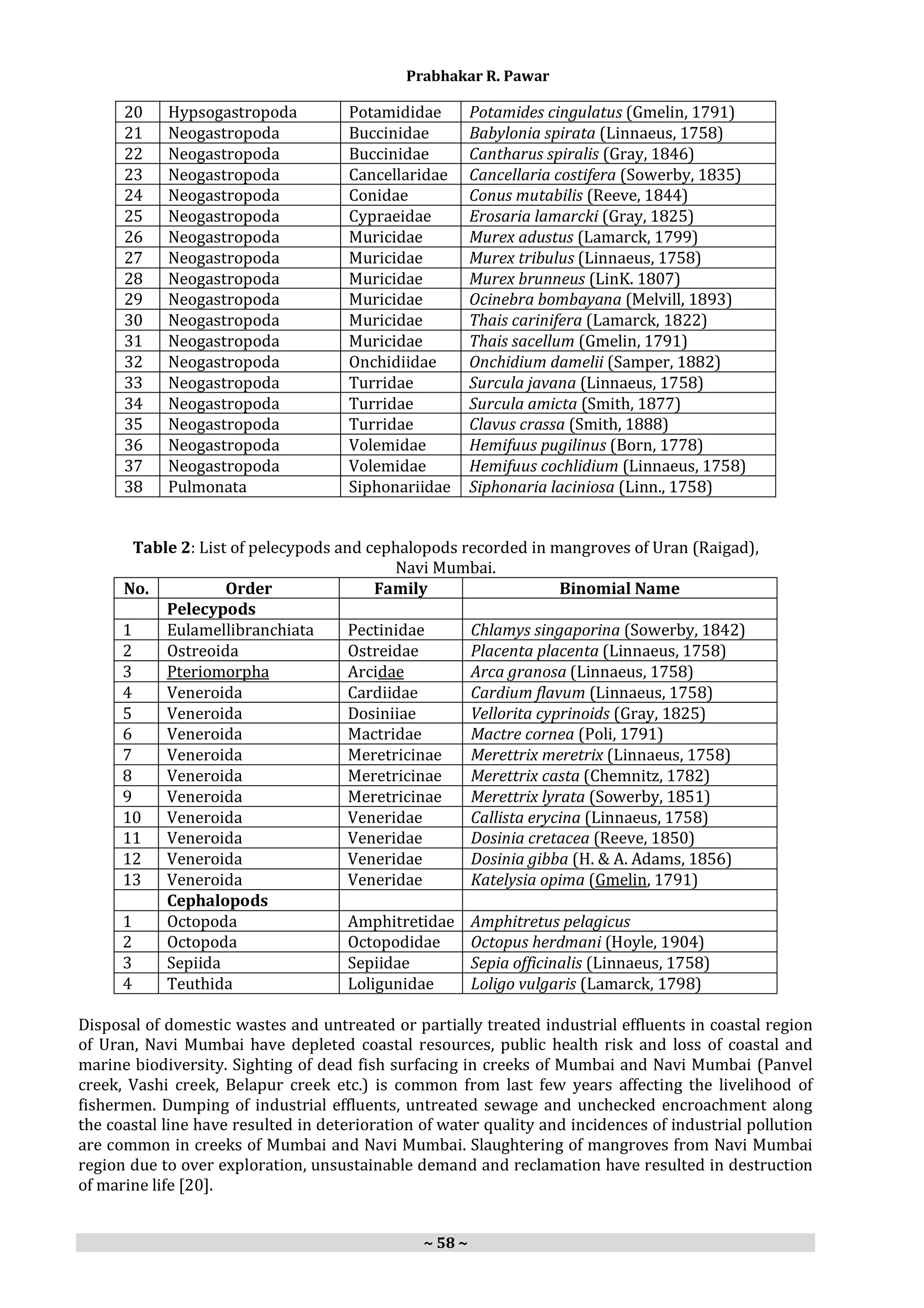 Molluscan diversity in mangroves of uran | PDF