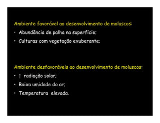 Ambiente favorável ao desenvolvimento de moluscos:
• Abundância de palha na superfície;
• Culturas com vegetação exuberante;




Ambiente desfavoráveis ao desenvolvimento de moluscos:
• ↑ radiação solar;
• Baixa umidade do ar;
• Temperatura elevada.
 
