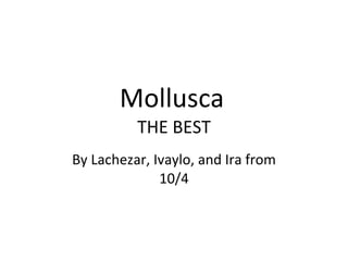 Mollusca   THE BEST By Lachezar, Ivaylo, and Ira from 10/4 