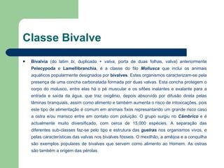Classe Bivalve <ul><li>Bivalvia  (do latim  bi , duplicado +  valva , porta de duas folhas, valva) anteriormente  Pelecypo...