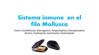 Sistema inmune en el
filo Mollusca
Clases: Caudofoveata, Solenogastres, Polyplacophora, Monoplacophor,
Bivalvia, Scaphopoda, Gastropoda y Cephalopoda
 