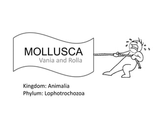 MOLLUSCA Vania and Rolla Kingdom: Animalia Phylum: Lophotrochozoa 