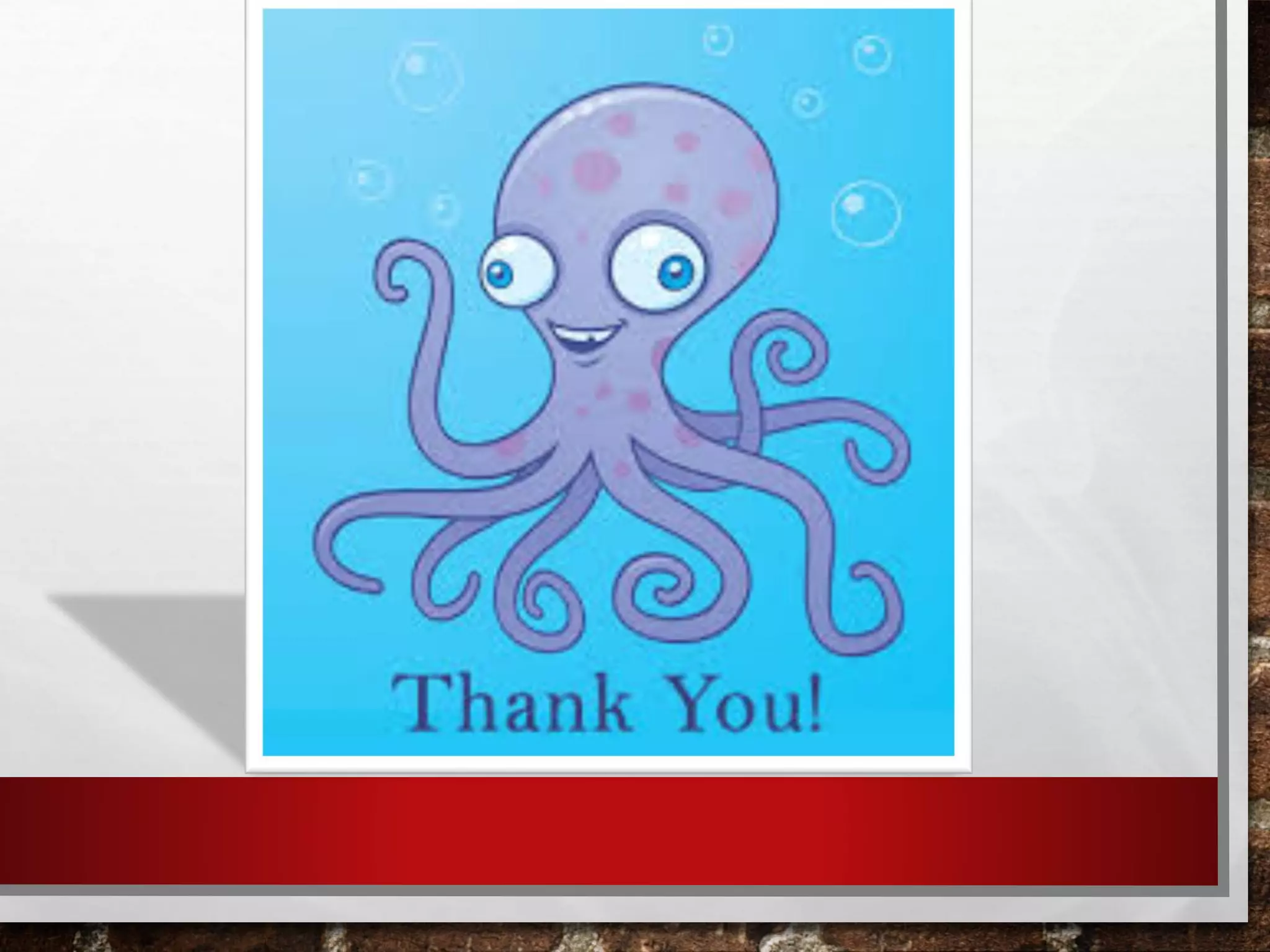 Phylum Mollusca | It's Classes | Characteristics | Features | Presentation | By: Faizan Lal Afsar