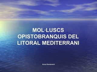 MOL·LUSCS OPISTOBRANQUIS DEL LITORAL MEDITERRANI Anna Domènech 