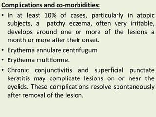 Complications and co‐morbidities:
• In at least 10% of cases, particularly in atopic
subjects, a patchy eczema, often very irritable,
develops around one or more of the lesions a
month or more after their onset.
• Erythema annulare centrifugum
• Erythema multiforme.
• Chronic conjunctivitis and superficial punctate
keratitis may complicate lesions on or near the
eyelids. These complications resolve spontaneously
after removal of the lesion.
 
