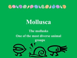 Mollusca
         The mollusks
One of the most diverse animal
             groups
 