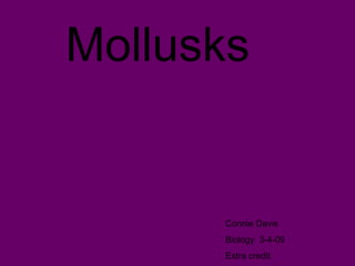 Mollusks  Connie Davis Biology  3-4-09 Extra credit 