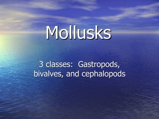 Mollusks
  3 classes: Gastropods,
bivalves, and cephalopods
 